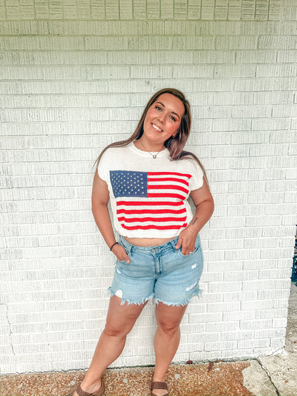 Party in the USA Cropped Sweater Top