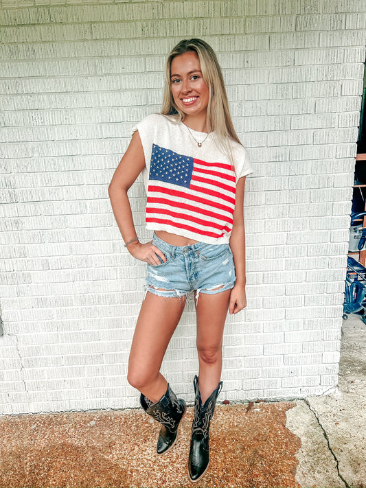Party in the USA Cropped Sweater Top