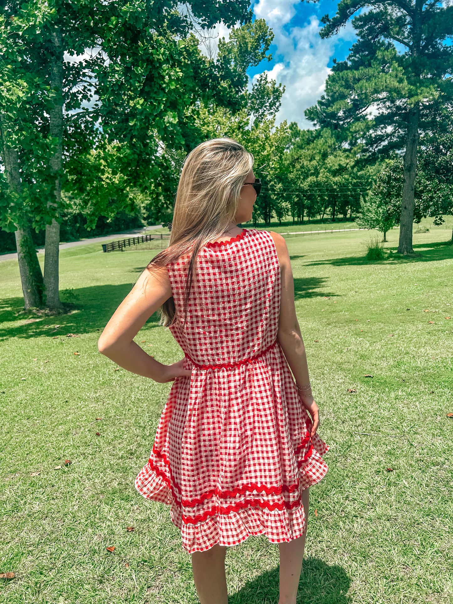 Catelyn Country Cutie Red Gingham Dress
